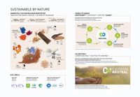 gerflor-dlw-linoleum-nature-2021